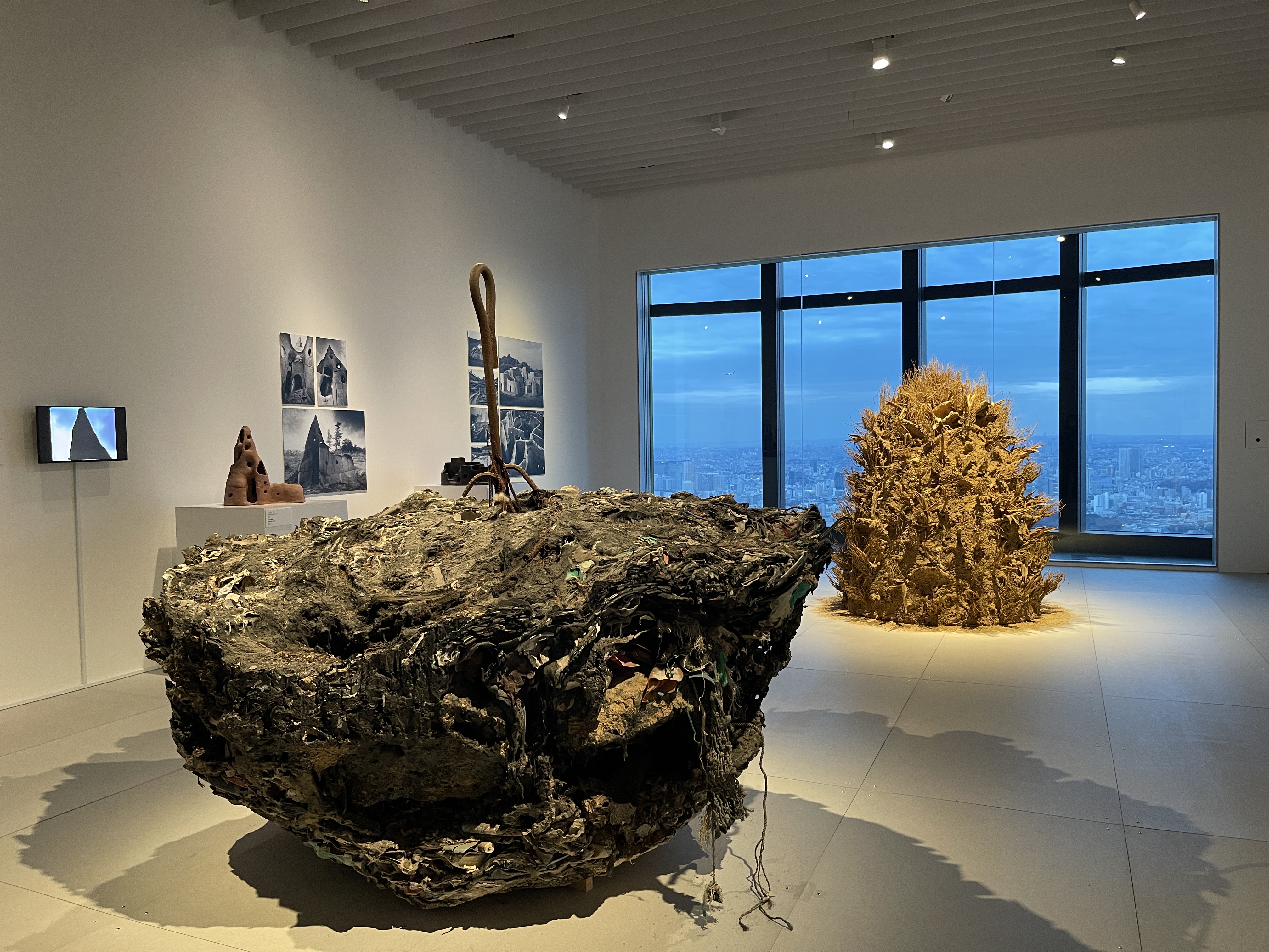 発芽する？プリーズ！ 2